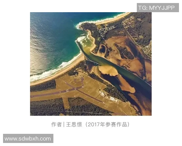 武汉极限运动队引领潮流最新极限运动战术十大榜单揭晓