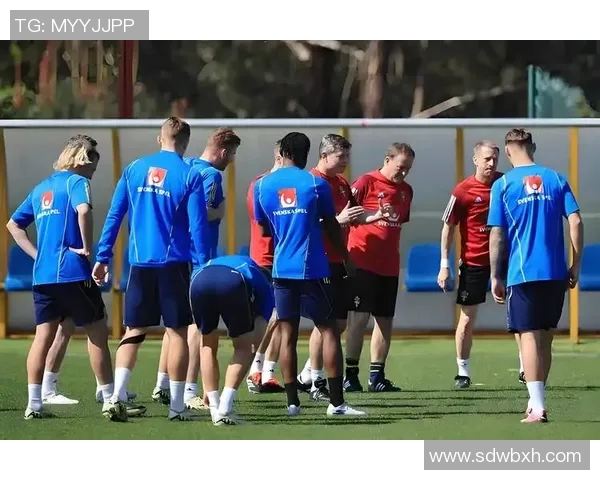 冰岛与科索沃世预赛对决精彩回顾及赛前分析